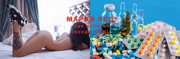первитин Богданович