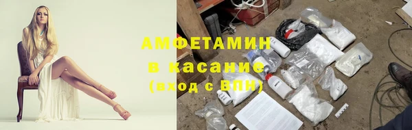 стаф Богородицк