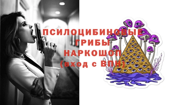 стаф Богородицк