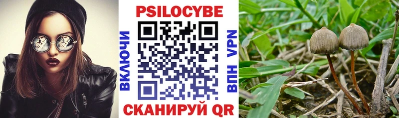 наркошоп  Кологрив  Псилоцибиновые грибы мухоморы 